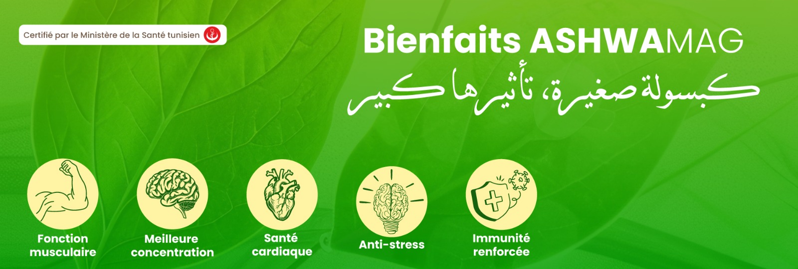 Banniére site web biotree