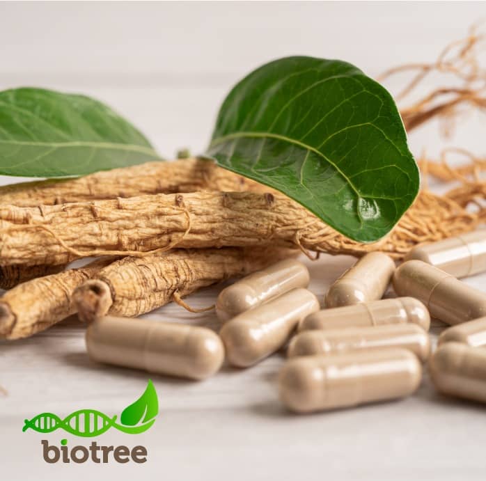 AshwaMag en Tunisie complément naturel avec Ashwagandha, Magnésium et B6 pour vitalité et réduction du stress