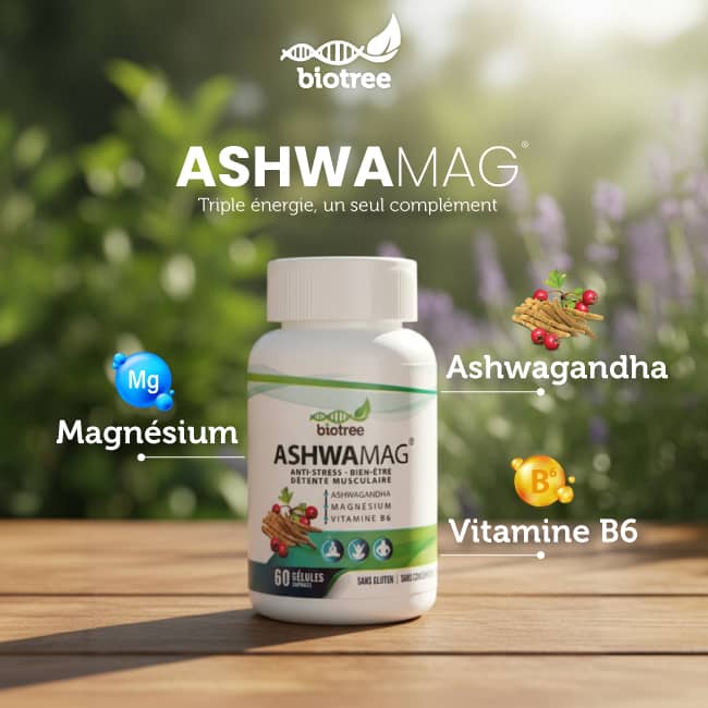 Ashwamag-magnésium marin-vitamine B6