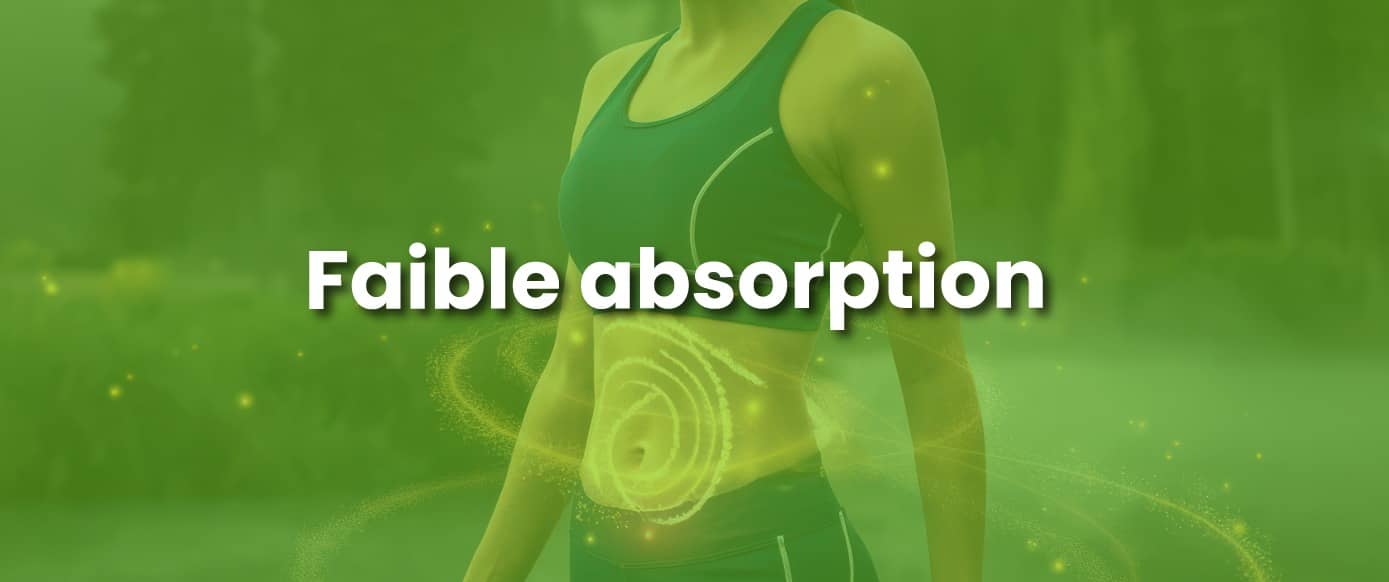 Faible-absorption-biotree