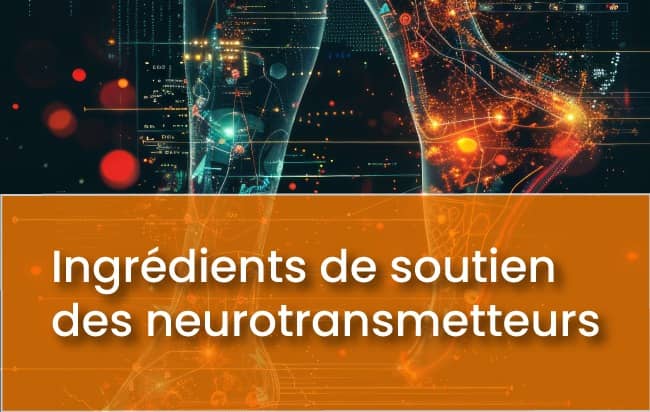 Ingredients-de-soutien-des-neurotransmetteurs-biotree