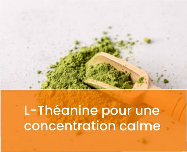 L-Theanine-pour-une-concentration-calme -biotree